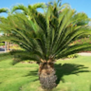 Meet your Posher, Annette